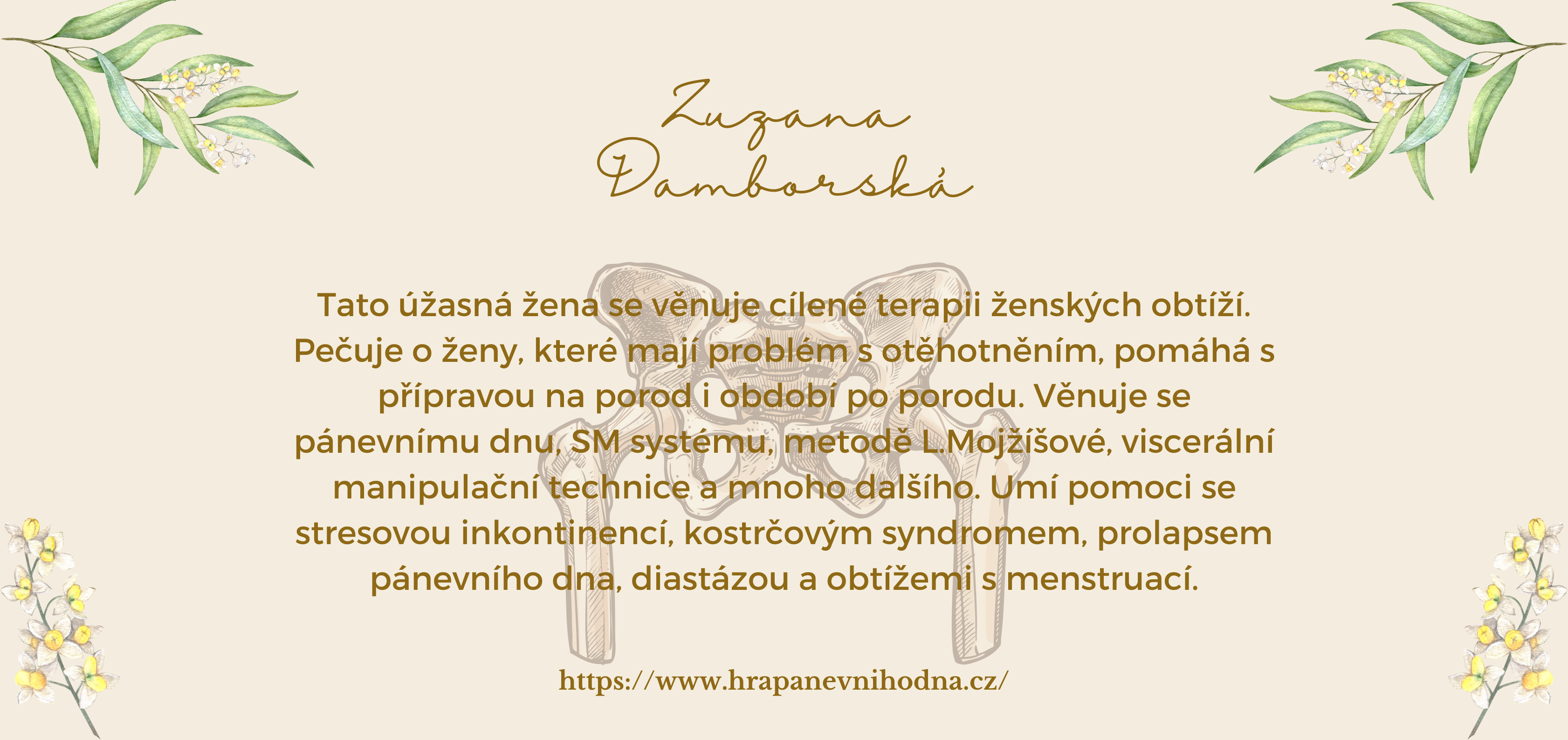 Zuzka Damborská spolupráce